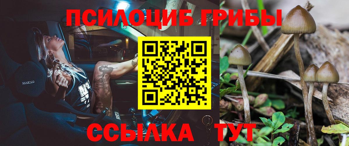 Псилоцибиновые грибы прущие грибы Азнакаево